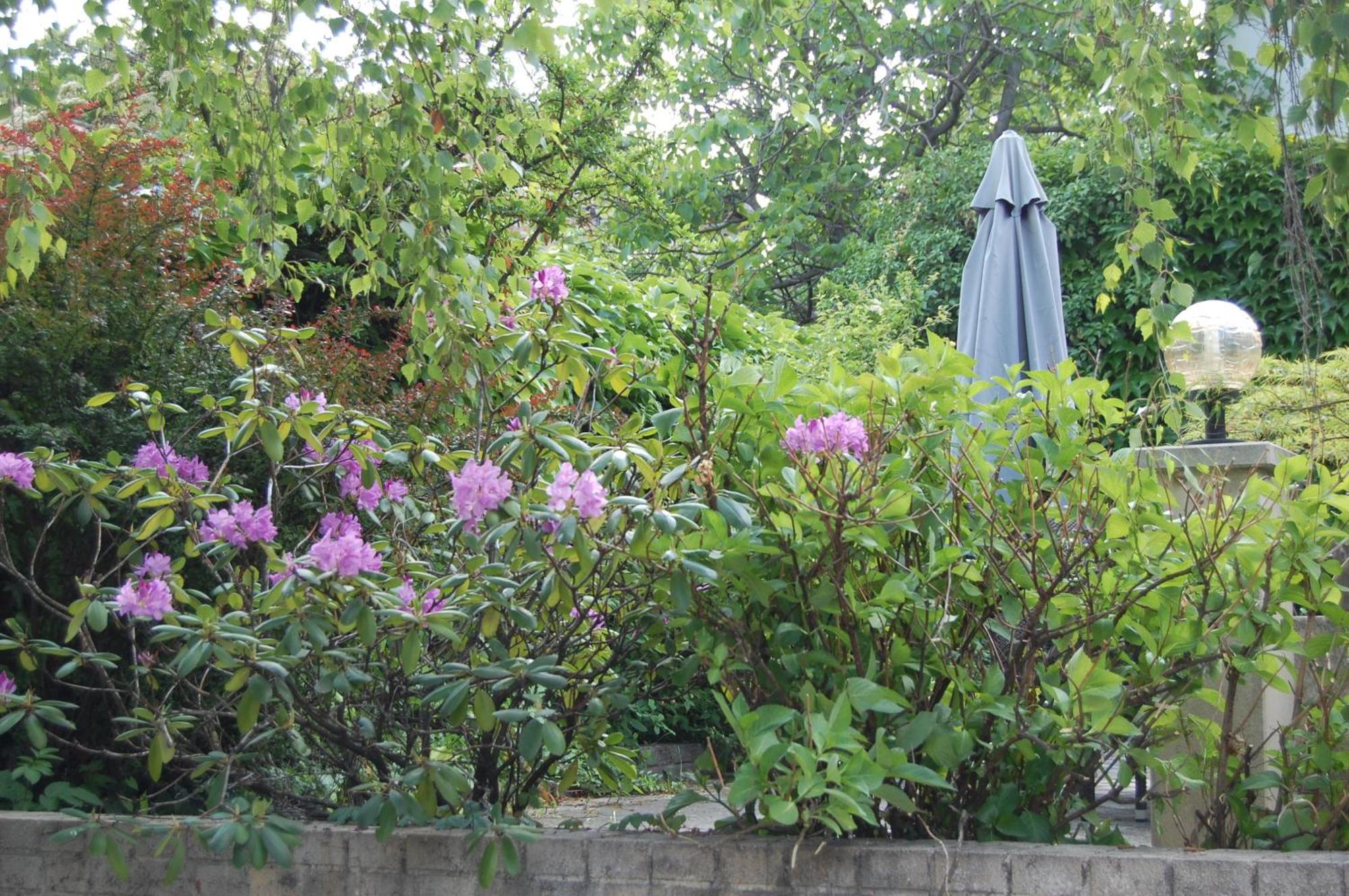 Hofgassl Zentgraf Bed & Breakfast Mörbisch am See Екстериор снимка