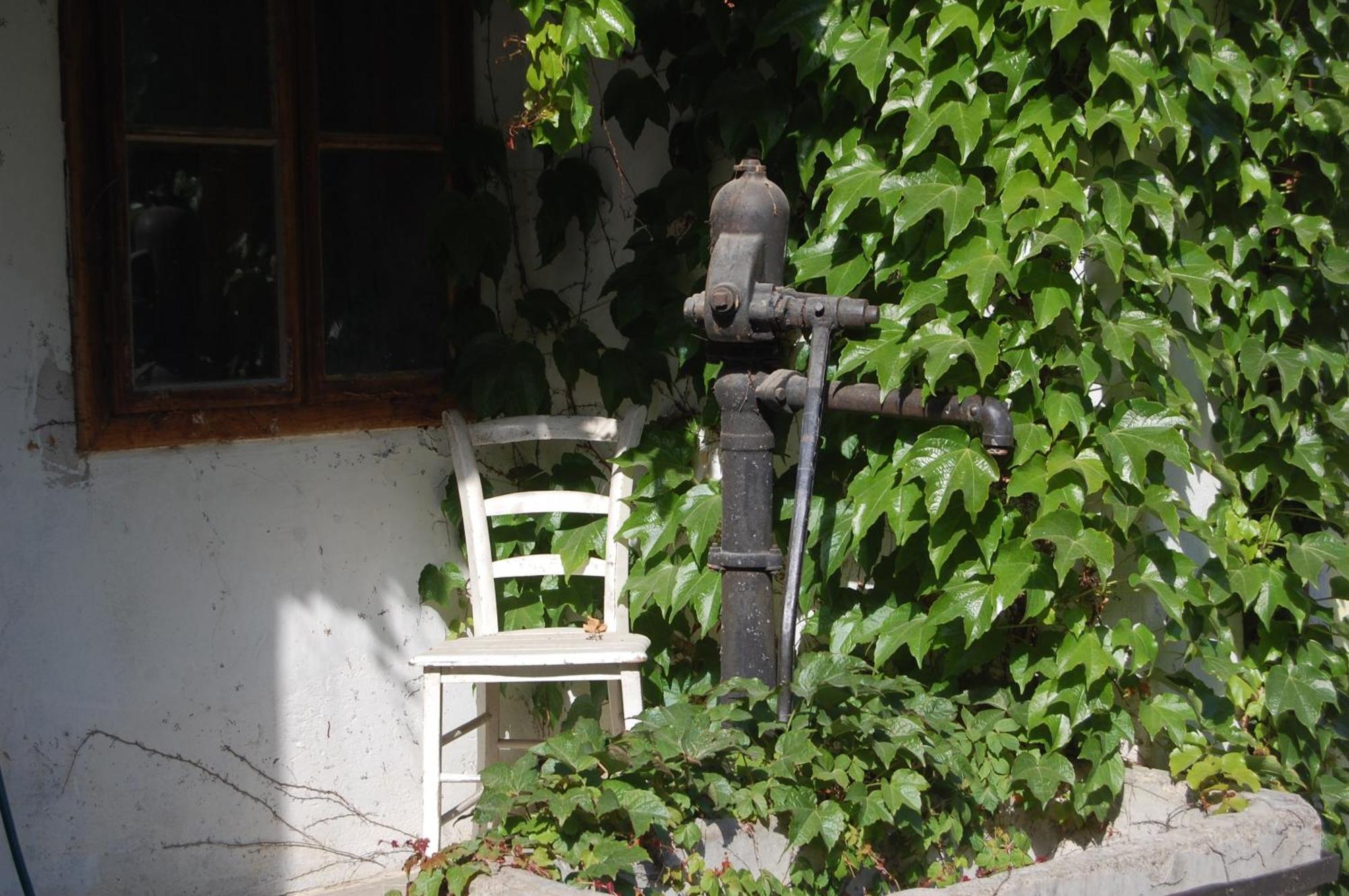 Hofgassl Zentgraf Bed & Breakfast Mörbisch am See Екстериор снимка