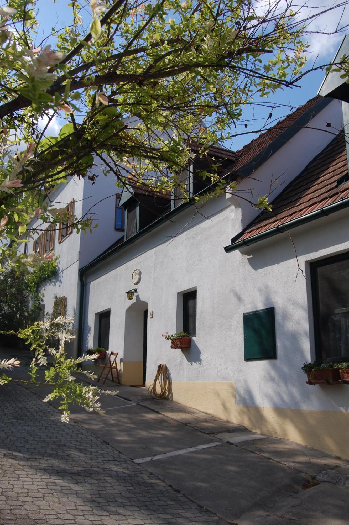 Hofgassl Zentgraf Bed & Breakfast Mörbisch am See Екстериор снимка