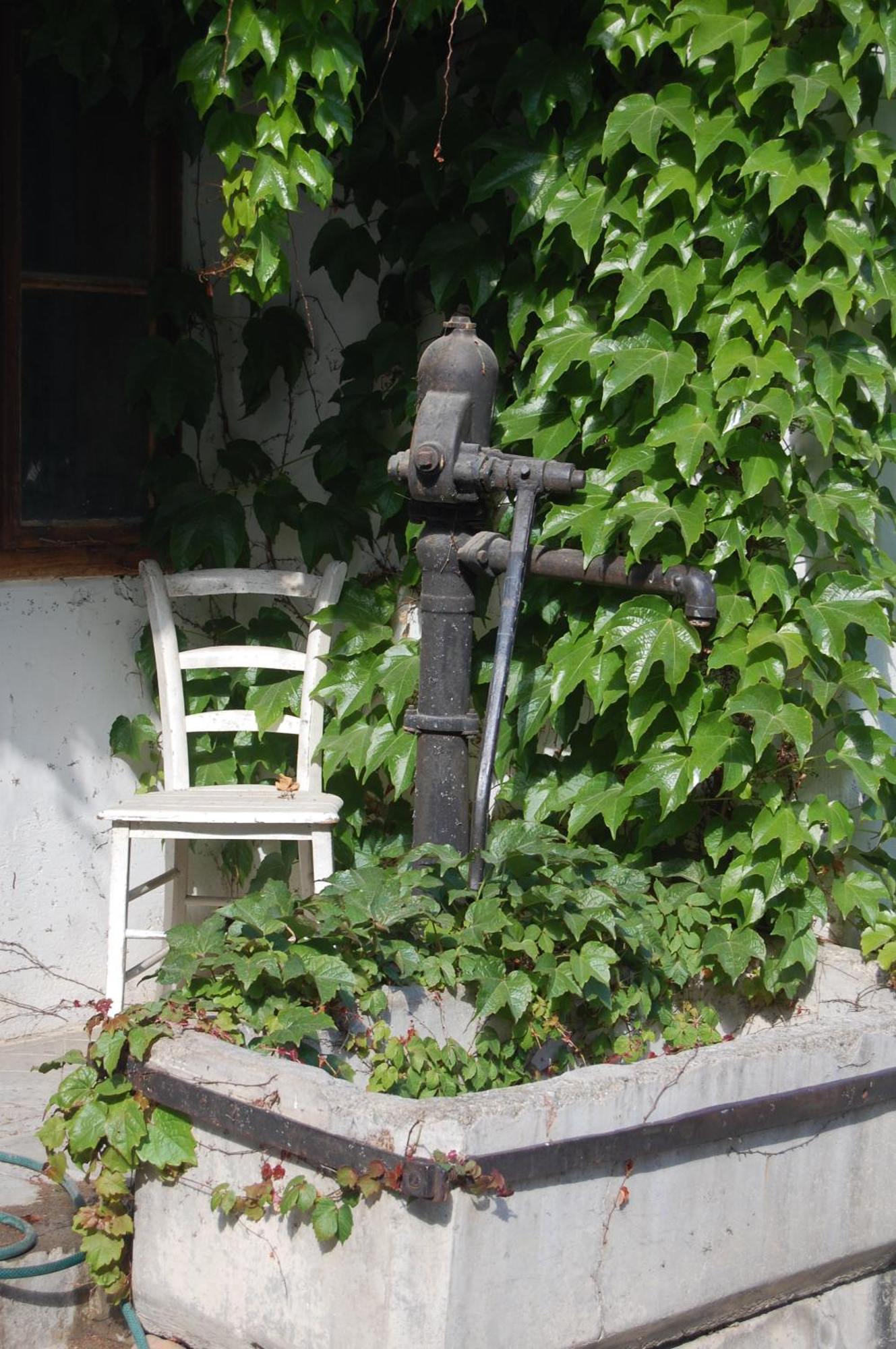 Hofgassl Zentgraf Bed & Breakfast Mörbisch am See Екстериор снимка